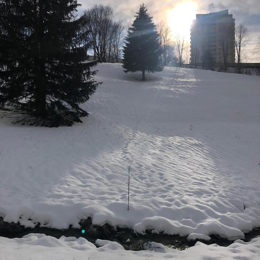 Pano Hohegeiss App 363 Mit Wlan Apartment Braunlage Luaran gambar